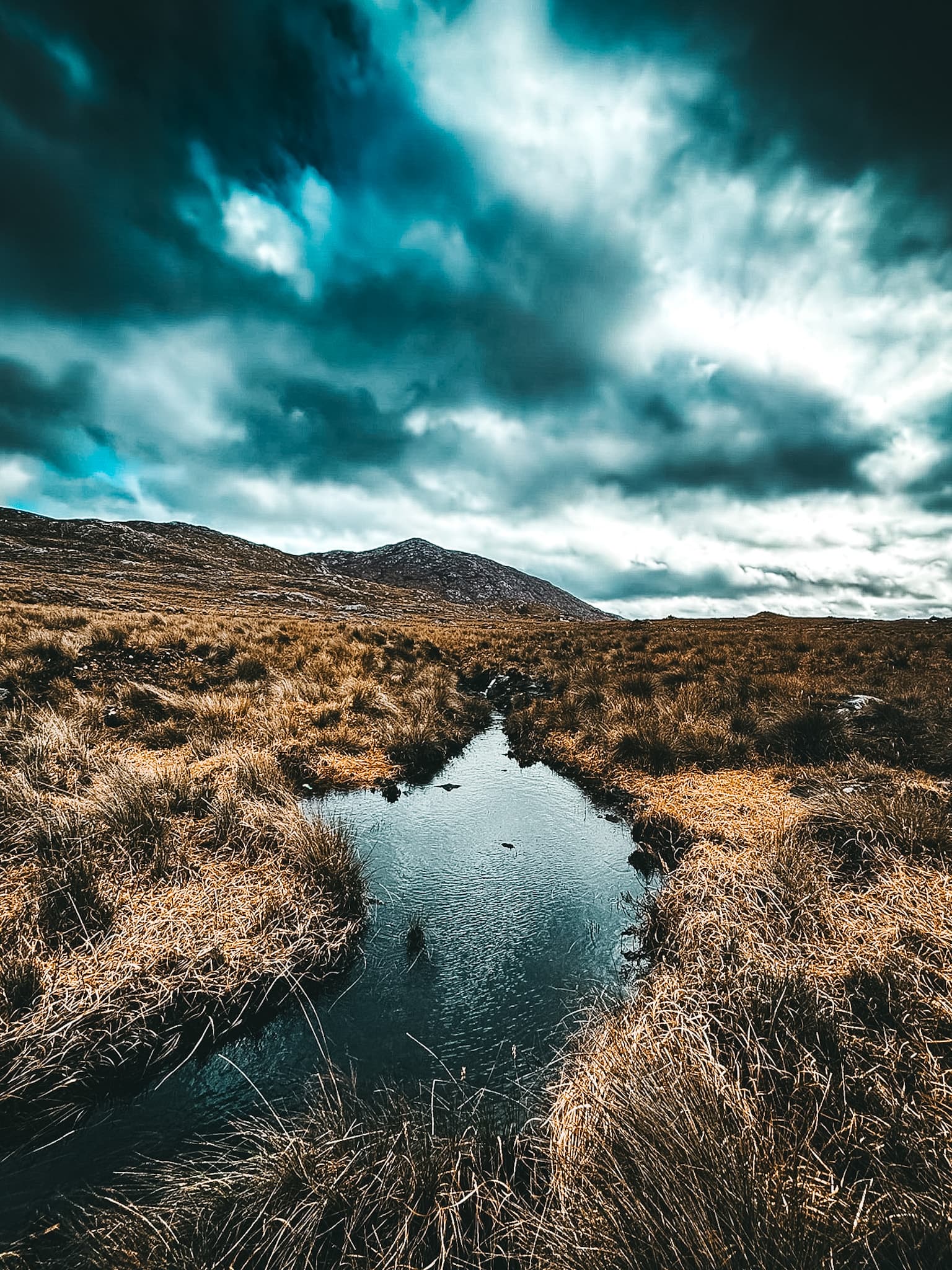 220673ED B43F 40D3 A29D 83F8F7BCD069 1 102 O 2